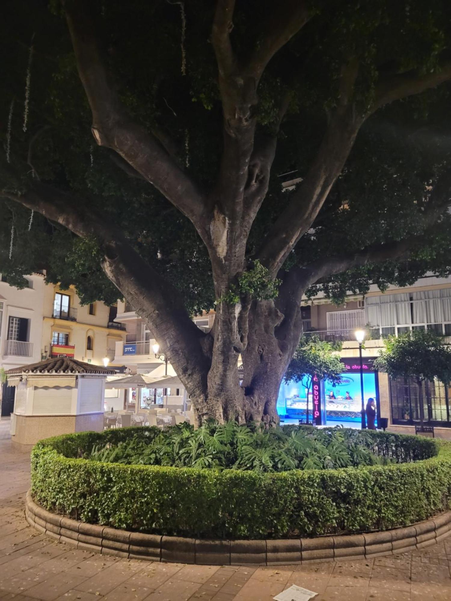 Fuengirola Center Sweet&Beach ภายนอก รูปภาพ
