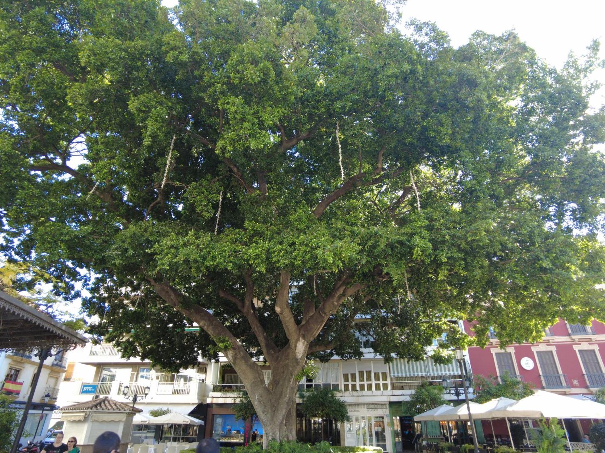 Fuengirola Center Sweet&Beach ภายนอก รูปภาพ